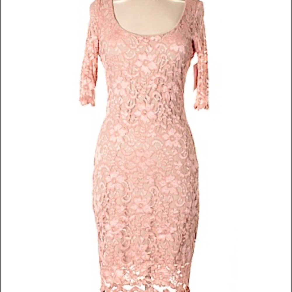 Belle Badgley Mischka | Floral Lace Blush Dress| 6